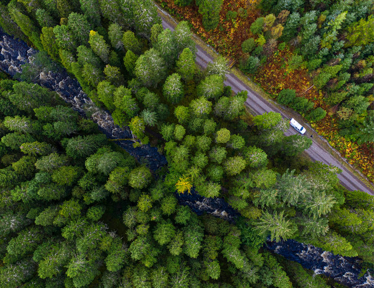 Forestry and Land Scotland is working with Shell UK to preserve and extend native woodland in Glengarry forest project aims to nurture and support the natural regeneration of Scotland’s forests. Much of Scotland was once covered in trees but today native woodland covers less than 5% of its original 15,000 square kilometres. Grazing animals and human demand for timber have played their part in its demise. 